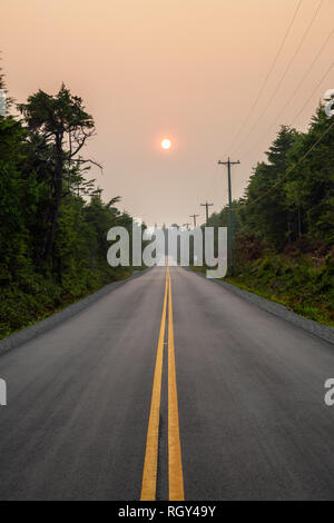 Scenic Route forestière pendant une journée d'été. Prises à Florencia Bay, près de l'Ucluelet et Tofino, Vancouver Island, BC, Canada. Banque D'Images