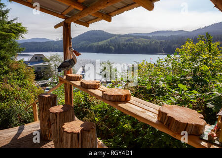 Port d'hiver, l'île de Vancouver, BC, Canada - le 19 août 2018 : vue sur un patio dans un restaurant dans une petite ville sur la côte de l'océan Pacifique. Banque D'Images