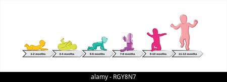 Stades de développement de bébé Premiers jalons d'un an . Chronologie des étapes importantes de l'enfant première année vector illustration Illustration de Vecteur