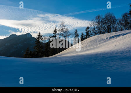 Dernier soleil sur un névé en Bayrisch Gmain, Bavière, Allemagne Banque D'Images