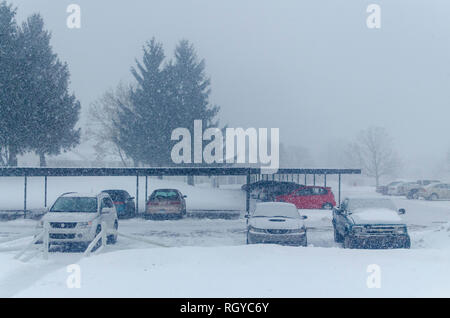 Le poids de la neige qui tombe lentement et couvrant le haut de véhicules stationnés à l'extérieur d'un complexe lors d'une forte tempête dans le Michigan, USA. Banque D'Images