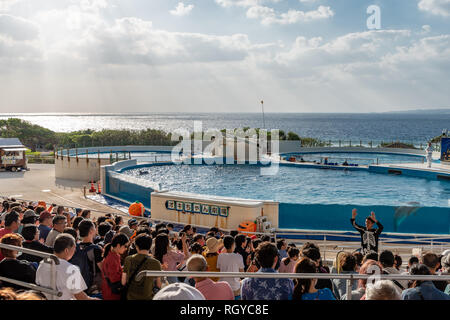 L'OKINAWA, JAPON - OCT 27 , 2018 : Okinawa Churaumi Aquarium à Okinawa, Japon, l'un des plus grands aquariums du monde Banque D'Images