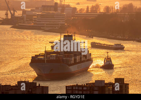 ROTTERDAM Pays-Bas - 16 mars 2016 : Maersk container ship sur la Meuse, dans le port de Rotterdam au coucher du soleil. Banque D'Images