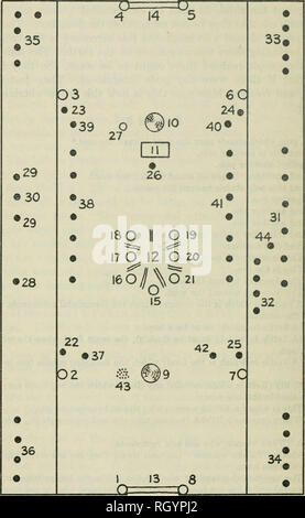 . Bulletin. De l'ethnologie. 92 BUKEAU of American Ethnology (BULL. 114 w. Figure 4.-Même performance que la figure 3 différents (répondant).. Veuillez noter que ces images sont extraites de la page numérisée des images qui peuvent avoir été retouchées numériquement pour plus de lisibilité - coloration et l'aspect de ces illustrations ne peut pas parfaitement ressembler à l'œuvre originale.. Smithsonian Institution. Bureau of American Ethnology. Washington : G. P. O. Banque D'Images