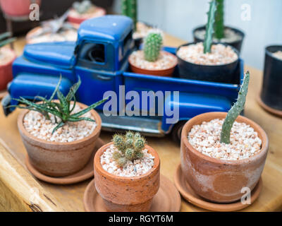 Green cactus en pots de terre cuite et camion bleu jouet décoration sur table en bois Banque D'Images