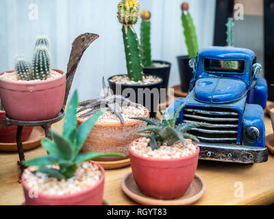 Les plantes en pots cactus vert et bleu jouet Camion décoration sur table en bois Banque D'Images