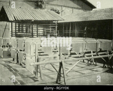 . Bulletin. 1901-13. L'agriculture ; l'Agriculture. Fig. 1.-Les vermicelles Appuyez sur à l'usine de F. Scaramelli FiLS.. La FiQ. 2.-Section de séchage en plein air Ministère à l'usine de F. Scaramelli Fils.. Veuillez noter que ces images sont extraites de la page numérisée des images qui peuvent avoir été retouchées numériquement pour plus de lisibilité - coloration et l'aspect de ces illustrations ne peut pas parfaitement ressembler à l'œuvre originale.. United States. Bureau de l'industrie des végétaux, les sols, et le génie agricole. Le gouvernement de Washington. L'impression. Off Banque D'Images