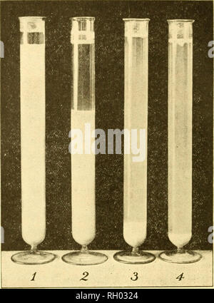. Bulletin. Agriculture -- Périodiques du Massachusetts ; Engrais -- Analyse des périodiques. I 6. Fig. I : indiquant le degré d'settHng correctement et incorrectement réalisés dans la bouillie bordelaise. (I). La bouillie bordelaise correctement formées par le mélange de chaux et de sulfate de cuivre dilué dans un navire distinct 24 heures après le cuivre et de la chaux ont été préparés. (2). Mélange fait en combinant des solutions de sulfate de cuivre et de chaux. (3). Solution de cuivre dissous dans l'eau de chaux à chaud. (4.) l'eau de chaux fraîchement préparée versé dans la solution de cuivre chaud. (I) et (2) photographié 3.V h Banque D'Images