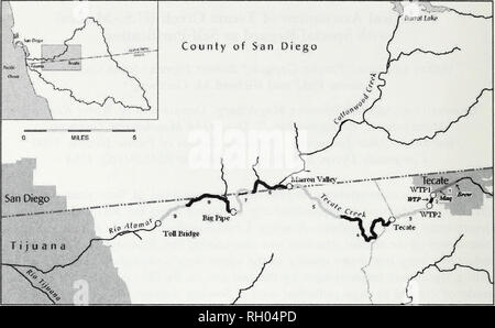 . Bulletin. La science. Le sud de l'Académie des Sciences de Californie. Fig. 1. Carte des sites d'échantillonnage (dénoté par cercles ouverts) sur Tecate Creek et l'Alamar River. L'ombre (à la fois la lumière et l'obscurité) sections de segments de cours d'eau représentent les segments où l'évaluation écomorphologiques a été faite. L'emplacement de la décharge de l'Tecate le traitement des eaux usées municipales est désignée comme "payer". L'emplacement de la décharge de l'Tecate bière brasserie et l'Tecate complexe des maquiladoras sont indiqués par "brew" et "Maq" respectivement. Site adapté de la base de données SIG du bassin hydrographique de la rivière Tijuana Banque D'Images