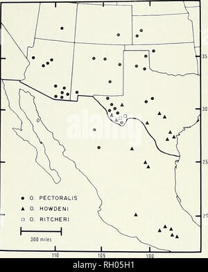 . Bulletin. La science ; natural history ; histoire naturelle. BULLETIN 60 LE SUD DE L'Académie des Sciences de Californie VOLUME 74. • 0 PECTORALIS UN 0. HOWDENI D 0. J'RITCHERI 1300 miles Figure 4S. La distribution des espèces du complexe d'espèce O. pecloralis en Amérique du Nord et au Mexique. Forme de base. Les mandibules sont assez constantes dans la forme, avec une légère variation due à l'abrasion. La forme de la cheville du mentum et stridulatory sont constants. D'autres spécimens examinés {1123 &gt ; 1592) : UNITED STATES Arizona : Cochise Chiricahua Co Smt : Cave Creek Ranch, Pinery Cyn. Portail. Au sud-ouest de la station de recherche. Banque D'Images