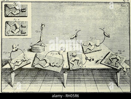 . Bulletin. La science. '. ^^tisr&gt ;.^^'T- Figure i.-les expériences de Galvani en électricité animale. De Luigi Galvani, De Viribus Electricitatis in Motu Musculari Commenlarius, Bologne, 1791, traduits par Margaret Foley, Norwalk, Connecticut, 1953, pi. 3. La cellule électrochimique Luigi Galvani, professeur d'anatomie à Bologne, a été l'étude de la relation entre l'électricité et le musée des Tissus- quand il a découvert que si l'exposé d'un nerf de la jambe de la grenouille ont été touchés par des métaux sous certaines conditions, une contraction du muscle entraînerait (figs. 1, 2). Cette découverte a conduit à l'ex- plai Galvani Banque D'Images