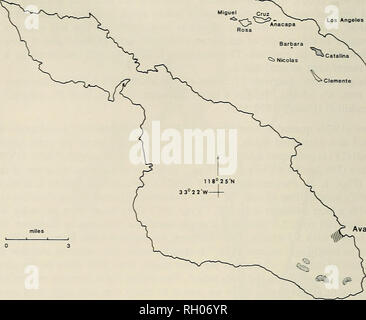 . Bulletin. La science ; natural history ; histoire naturelle. Barbara &Lt ;^ Nicolas. Avalon Fig. 7. Plan de Santa Catalina Island, Californie, montrant la distribution généralisée oi Radiocentrum aalonense fstippled). Pentes face peu couverts de végétation côtière scrub sage. Les plantes dominantes sont black sage (Sahia mellifera) et prickly pear cactus Opuntia-{littoralis). Arbustes sclérophylles comme lemonade berr- imegrifolia {Rhus) et toyon (Heter- omeles arbutifolia) sont également présents (Fig. 8. 9). Quelques plantes herbacées se produire sur ces pentes, probablement à cause de la persistance du broutage par les g Banque D'Images