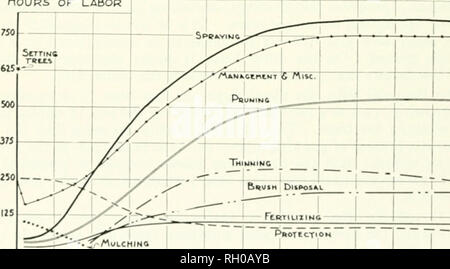 . Bulletin. Agriculture -- New Hampshire. University of New Hampshire [Sta. Bull. 323 (•haii&lt;2:inp : proportion de la plupart des loiip^ production : pei-iod. Dans les premières étapes des activités sont centrées sur la culture des arbres. Dans les premiers stades d'ours l'accent est mis sur le développement .encore largement les arbres, mais sur une longue période de la production de fruits devient progressivement le principal ob- jective. Le fiiuil tn stade, l'attention du conducteur est absorbée en obtenir autant d'jiroduction du vieil arbre qu'est pi-actical. À la fin de sa vie commerciale l'arbre est sans valeur pour la production de fruits Banque D'Images