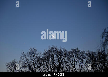 Édimbourg, Écosse, Royaume-Uni. 31 janvier 2019. Vénus et Jupiter apparaissent de part et d'autre de la Lune du croissant dans le ciel tôt le matin, juste avant l'aube, au-dessus de la capitale. Après une autre nuit de gel lourd et une température de moins six degrés. Banque D'Images