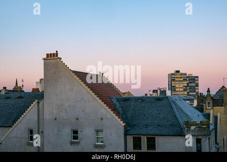 Leith, Édimbourg, Écosse, Royaume-Uni, 31 janvier 2019.UK, en dépit des avertissements météorologiques : en place pour la neige et la glace, Leith est clair que frosty avec une magnifique rose clair lever du soleil sur les styles architecturaux des toits Banque D'Images