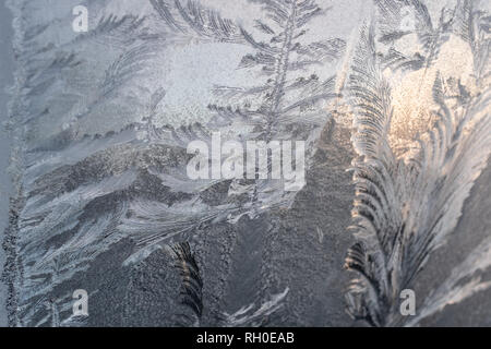 La brandir, Hampshire, Royaume-Uni. Jan 31, 2019. Les patrons de givre sur une fenêtre Créer une image éthérée d'une forêt. Crédit : Paul Markillie/Alamy Live News Banque D'Images