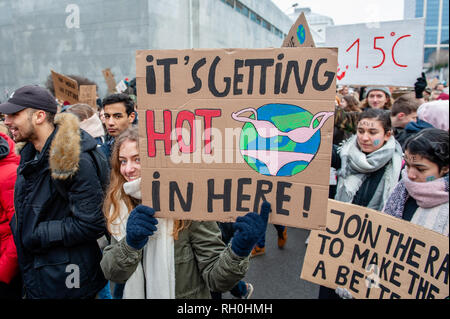 Bruxelles, Brabant, Belgique. Jan 31, 2019. Les étudiants belges sont vu la tenue des pancartes pendant la manifestation.Pour la quatrième fois consécutive jeudi, des milliers d'étudiants belges sauté l'école pour faire la preuve d'une meilleure politique climatique dans les rues de Bruxelles. La manifestation était organisée par un garçon de dix-sept ans De Wever Anuna, un étudiant qui prévoit démontrer à la politique climatique et contre la politique environnementale laxiste des politiciens. Credit : Ana Fernandez/SOPA Images/ZUMA/Alamy Fil Live News Banque D'Images