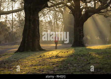 Londres, Royaume-Uni. Jan 31, 2019. Un jogger est vu marcher à Finsbury Park, au nord de Londres au cours d'un lever du soleil d'or avec les rayons du soleil me les arbres après la nuit la plus froide de l'hiver. Credit : Dinendra Haria SOPA/Images/ZUMA/Alamy Fil Live News Banque D'Images