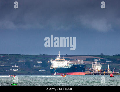 Whitegate, Cork, Irlande. 31 janvier, 2019. 29295 tonne Joanna Minerva pétroliers amarrés à la jetée, tout en délestant pétrole brut à la raffinerie Irving à Whitegate Co., Cork, Irlande. Crédit : David Creedon/Alamy Live News Banque D'Images