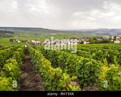 Dom Perignon, Hautvillers, Champagne, Marne, France, Europe Banque D'Images