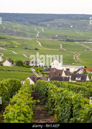 Dom Perignon, Hautvillers, Champagne, Marne, France, Europe Banque D'Images