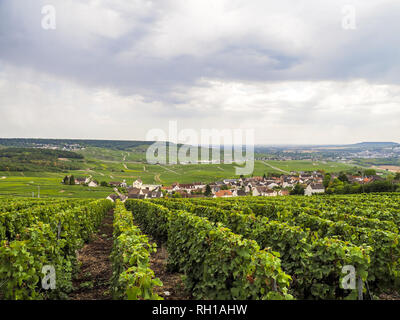 Dom Perignon, Hautvillers, Champagne, Marne, France, Europe Banque D'Images