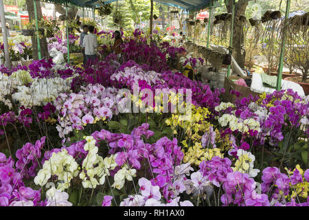 Marché aux fleurs à Ho Chi Minh, Vietnam Banque D'Images