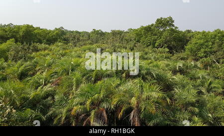 Le Bangladesh Sundarbon Banque D'Images