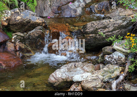 Sur les rochers dans l'eau tumbling petit ruisseau Banque D'Images