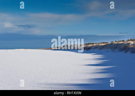 Forêt de CULBIN FORRES MORAY ECOSSE VIEW OF BEACH CULBIN ET LES OMBRES DE LA DUNE Banque D'Images