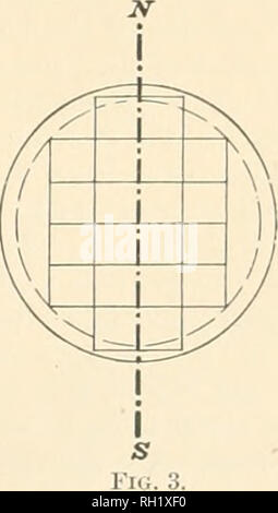 . Bulletin. Les forêts et la foresterie -- United States. . Veuillez noter que ces images sont extraites de la page numérisée des images qui peuvent avoir été retouchées numériquement pour plus de lisibilité - coloration et l'aspect de ces illustrations ne peut pas parfaitement ressembler à l'œuvre originale.. United States. Division des forêts. Washington : G. P. O. Banque D'Images