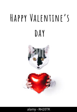 Chat mignon tenant un cœur sur fond blanc. Banque D'Images