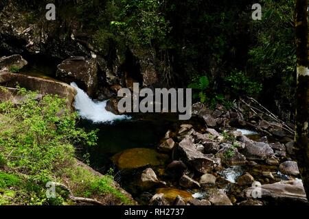 Flux d'eau vive en cascade avec de l'eau vert émeraude, Finch Hatton, Queensland 4756, Australie Banque D'Images