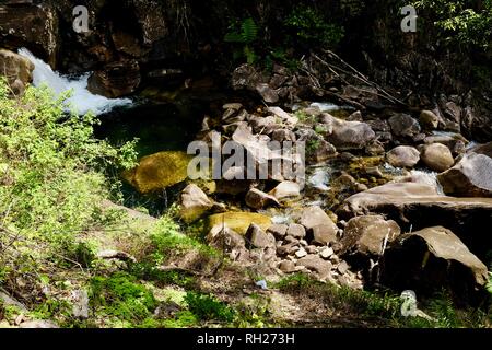 Flux d'eau vive en cascade avec de l'eau vert émeraude, Finch Hatton, Queensland 4756, Australie Banque D'Images