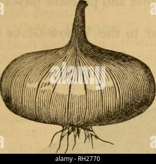 . Buist's almanac et jardin manuel pour l'année 1888:b conçu pour fournir des conseils concis pour les propriétaires de chalet, les agriculteurs et les planteurs, sur la culture des légumes, avec d'autres informations utiles sur le jardinage. Les légumes. J'LiiiiiiMiiiiiiiiiiiiiiiiiiiiiiiiiiiiiiiniiiiiiiiiiiiiiiiiiiiiiiiiiiiiiiiiiiiiiiiiiiiiiiiiiiiiiiiiiiiiiiiiiiiiiiiiiiiiiniiiiiiiiiitH BUISTS ET ALMANACH MANUEL JARDIN 99 I. Veuillez noter que ces images sont extraites de la page numérisée des images qui peuvent avoir été retouchées numériquement pour plus de lisibilité - coloration et l'aspect de ces illustrations ne peut pas parfaitement ressembler à l'original Banque D'Images