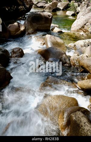 Flux d'eau vive en cascade avec de l'eau vert émeraude, Finch Hatton, Queensland 4756, Australie Banque D'Images