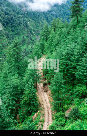 Photo de Vue aérienne de route entouré d'arbres Deodar dans Himalaya, sainj, vallée de Kullu, Himachal Pradesh, Inde Banque D'Images