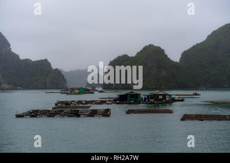 La baie d'Halong en nuages mystiques. Atmosphère mystique dans la célèbre baie d'Halong. Banque D'Images