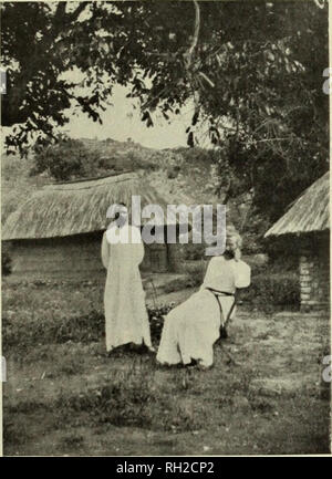 . En Afrique centrale ; une tentative de donner un compte d'une partie des territoires sous influence britannique au nord du Zambèze. L'histoire naturelle. 191 missionnaires parodie, comme un relief naturel), j'existe toujours, comme peut être vu par toute personne qui lit la plupart des revues missionnaires et entend les discours de nombreux missionnaires. Il existe d'ordinaire parmi les plus récentes et la plus brute des missionnaires et dans la plus jeune des sociétés missionnaires. Dans ces missions, comme celles des universités, l'Église d'Écosse et de l'Église libre, cant Livingstonia est disparu dans une large mesure à l'échelle locale, s'il était encore d'lin Banque D'Images