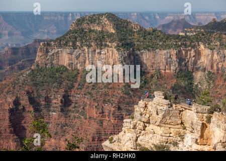 Vue sud de à proximité du Grand Canyon Lodge (passé une plate-forme d'observation avec les gens), Rive Nord, le Parc National du Grand Canyon, Arizona, United States. Banque D'Images