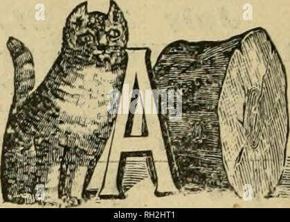 . British bee journal &AMP ; conseiller les apiculteurs. Les abeilles. 11 LE BRITISH BEE JOURNAL. [June 18,1908. La British Bee Journal créé 1873. Un journal hebdomadaire consacrée à l'intérêt des apiculteurs. Édité par T. W. Cowan, F.L.S., &amp;c et W. BROUGHTON CARR. Bureau : 8, Henrietta Street, Covent Garden, Londres, WC. Correspondance : à qui s'adresser. -Toutes les questions relatives à l'Œuvre littéraire de- pièce, Associations, spectacles, &amp;c, doit être adressée " Éditeurs. British Bee Journal", et toutes les communications d'affaires et les questions relatives aux abonnements et annonces' être traités Banque D'Images