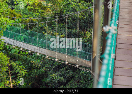 Pont suspendu au-dessus de la forêt à Kuala Lumpur Banque D'Images