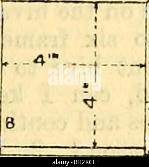 . British bee journal &AMP ; conseiller les apiculteurs. Les abeilles. Le 20 mars 1902.] LE BRITISH BEE JOURNAL. 117 qui l'ensemble des clauses urbain votre conseil conserver dans leurs règlements de construction (et sur laquelle vous basez votre objection) sont complètement balayé. Vous ne pouvez donc pas être surpris si je refuse de détruire une structure qui se réunit avec l'approbation de l'L°cal Commission du gouvernement, et en même temps la nécessité extrême de notre district.-Yours truly, E. D. Till. Nouveautés pour 1902. L'ALIMENTATION COMBINÉE DAWSON-ÉTAPE ET PASSAGE À L'hiver. Je présente en avant une illustration d'une petite abeille-appareil, devis Banque D'Images