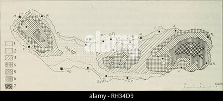 . La fougère de la gazette. Fougères. 316 LA GAZETTE DU FERN : VOLUME 10, PARTIE 6 (1973), et de laves andésitiques trachytiques mais presque toute la surface est recouverte de matériaux volcaniques - cendres et tufs à lapilli et de pierre ponce (Zbyszewski et al. 1958, 1959). Ce matériau souple peut être rapidement colonisé par les plantes. Outre les petites collines, paysage caractéristique éléments sont les cônes volcaniques, cratères (calderas), contenant souvent des lacs circulaires, hot springs, port de falaises et des ravins profonds avec des rochers dans la rivière-d'appoint fonctionnant en bas de la haute montagne. Certaines données concernant le climat (Walte Banque D'Images