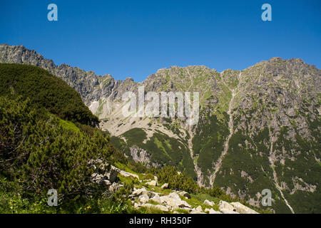 Vue d'en haut. Trail de la vallée de cinq étangs. Tatras à Zakopane. Banque D'Images