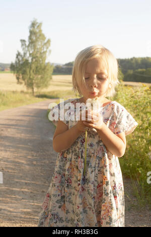 Girl blowing dandelion Banque D'Images