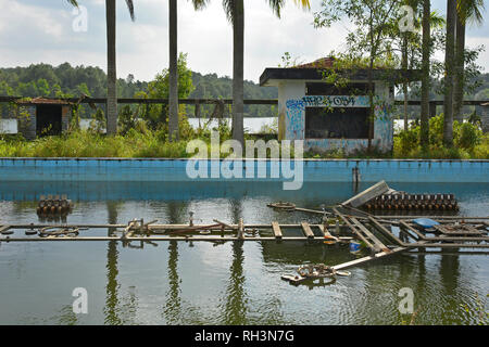 Une piscine dans un parc abandonné dans le sud-est asiatique Banque D'Images