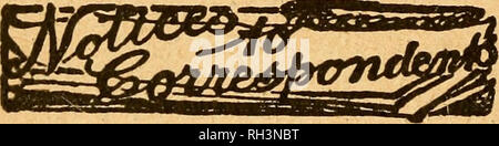 . British bee journal &AMP ; conseiller les apiculteurs. Les abeilles. 381 LE BRITISH BEE JOURNAL. Le 21 novembre 1918. testé il y a deux ans, en montrant que la maladie est parfois un long moment dans le show- tion elle-même. M. Dyche d'essai en va plus loin que la mienne, et est très intéressant. A l'heure actuelle, j'ai très peu de temps à perdre pour des expériences, et la question de savoir si les peignes peuvent être désinfectées, afin d'être de nouveau utilisable requiert l'attention. Mon propre point de vue, jusqu'à présent, est que l'exposition des peignes aux vapeurs de formol est la plus facile et la plus sûre pour traiter avec eux. La méthode ne nécessite qu'une tasse hermétique- board ou b Banque D'Images