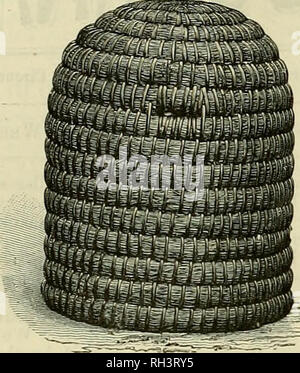 . British bee journal &AMP ; conseiller les apiculteurs. Les abeilles. 302 LE BRITISH BEE JOURNAL. [12 septembre 1889. Les trames avec lequel il est monté. Il s'agit de la forme représentée dans la figure, généralement en nombre 14- dans laquelle les abeilles, aidé par le guide-peigne, construire les rayons. En l'état, sous l'arche, une sorte de rack est placé, et le filtre de trames sont admis dans sa doit avoir la même largeur, et sont donc mieux, faites sur une machine. Division - les conseils sont nécessaires pour limiter le prix, qui peut être trop grand pour un essaim de taille modeste et, ou de la configuration d'un miel spécial, ainsi que d'un Banque D'Images