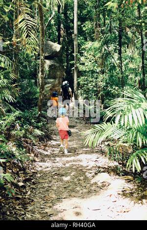 Une famille marche à travers une forêt tropicale, Finch Hatton, Queensland 4756, Australie Banque D'Images
